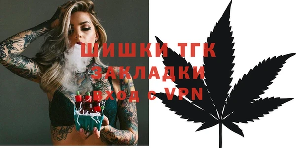 мдпв Белокуриха