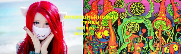 spice Белоозёрский