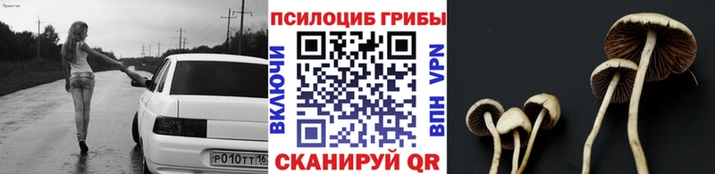 Галлюциногенные грибы MAGIC MUSHROOMS  mega маркетплейс  Верхний Уфалей 